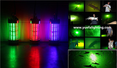 How to choose led fishing light color?