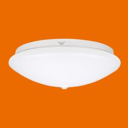 12W Induction  Led Ceiling Lamp
